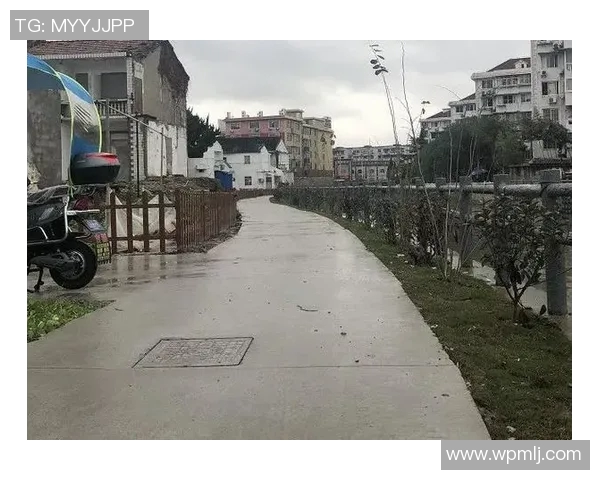 吾米提江封堵上海海港引发的经济与环境影响分析