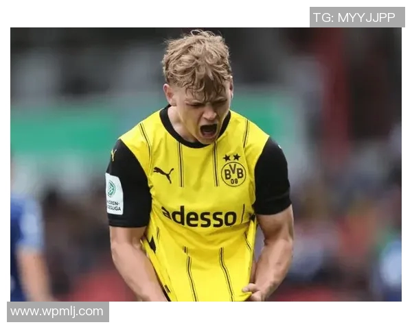 多特蒙德遭遇惨败,连胜终结哥廷根火力全开 多特蒙德遭遇惨败,连胜终结哥廷根火力全开