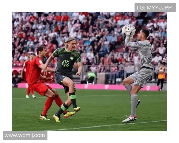 伤病困扰德甲豪门后防惊现裂痕